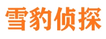 桐城市私家侦探